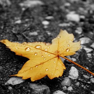 被三个男人躁爽白浆
