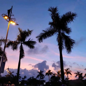 被三个男人躁爽白浆
